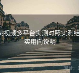 蜜桃视频多平台实测对照实测结果：实用向说明