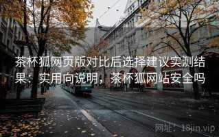 茶杯狐网页版对比后选择建议实测结果：实用向说明，茶杯狐网站安全吗