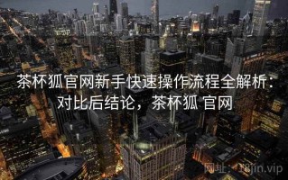 茶杯狐官网新手快速操作流程全解析：对比后结论，茶杯狐 官网