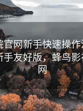 蜂鸟影院官网新手快速操作流程实测结果：新手友好版，蜂鸟影视网页官网
