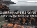 围绕蜂鸟影院的新手最常问的问题：长期使用反馈，蜂鸟影院首页界面