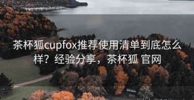 茶杯狐cupfox推荐使用清单到底怎么样？经验分享，茶杯狐 官网