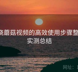 围绕蘑菇视频的高效使用步骤整理：实测总结