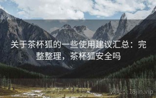 关于茶杯狐的一些使用建议汇总：完整整理，茶杯狐安全吗