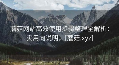 蘑菇网站高效使用步骤整理全解析：实用向说明，[蘑菇.xyz]