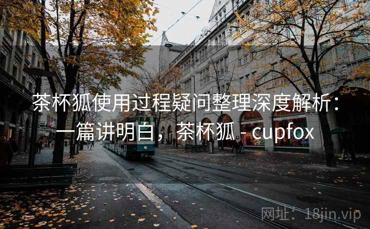茶杯狐使用过程疑问整理深度解析：一篇讲明白，茶杯狐 - cupfox