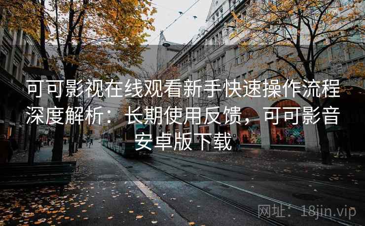 可可影视在线观看新手快速操作流程深度解析：长期使用反馈，可可影音安卓版下载