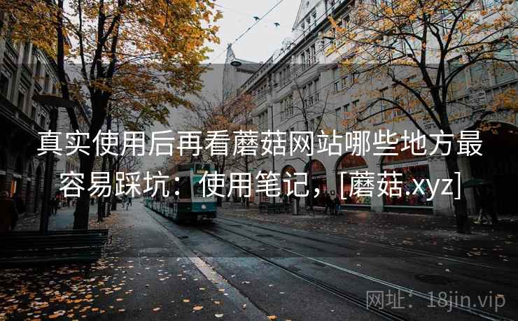 真实使用后再看蘑菇网站哪些地方最容易踩坑：使用笔记，[蘑菇.xyz]