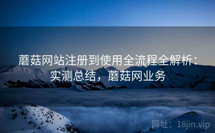 蘑菇网站注册到使用全流程全解析：实测总结，蘑菇网业务